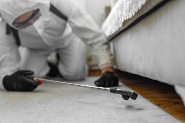 Professional Termite Control technician working in Media, PA