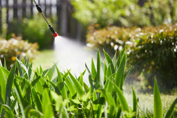 24/7 Emergency Termite Control experts in Media, PA