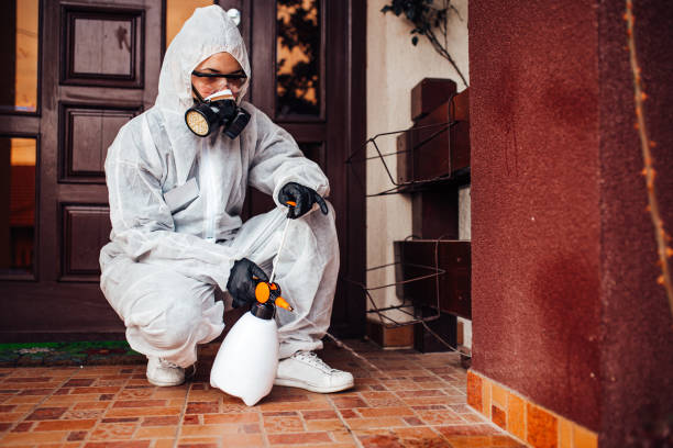 Reliable Termite Control contractor in Media, PA by Nex Pest Control