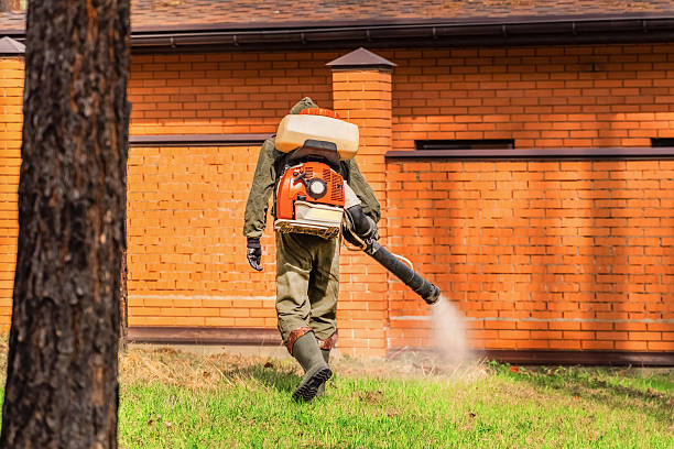 Top rated local Termite Control specialists in Media, PA
